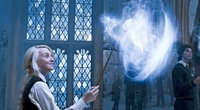 Riesiger Patronus-Kalender für „Harry Potter“-Fans: Magischer Begleiter für 2025