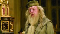 Fantastische Wahl: Hollywood-Größe soll Dumbledore in „Harry Potter“-Serie spielen