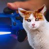 PS4-Krise: Jetzt wird auch die Last-Gen-Konsole richtig teuer