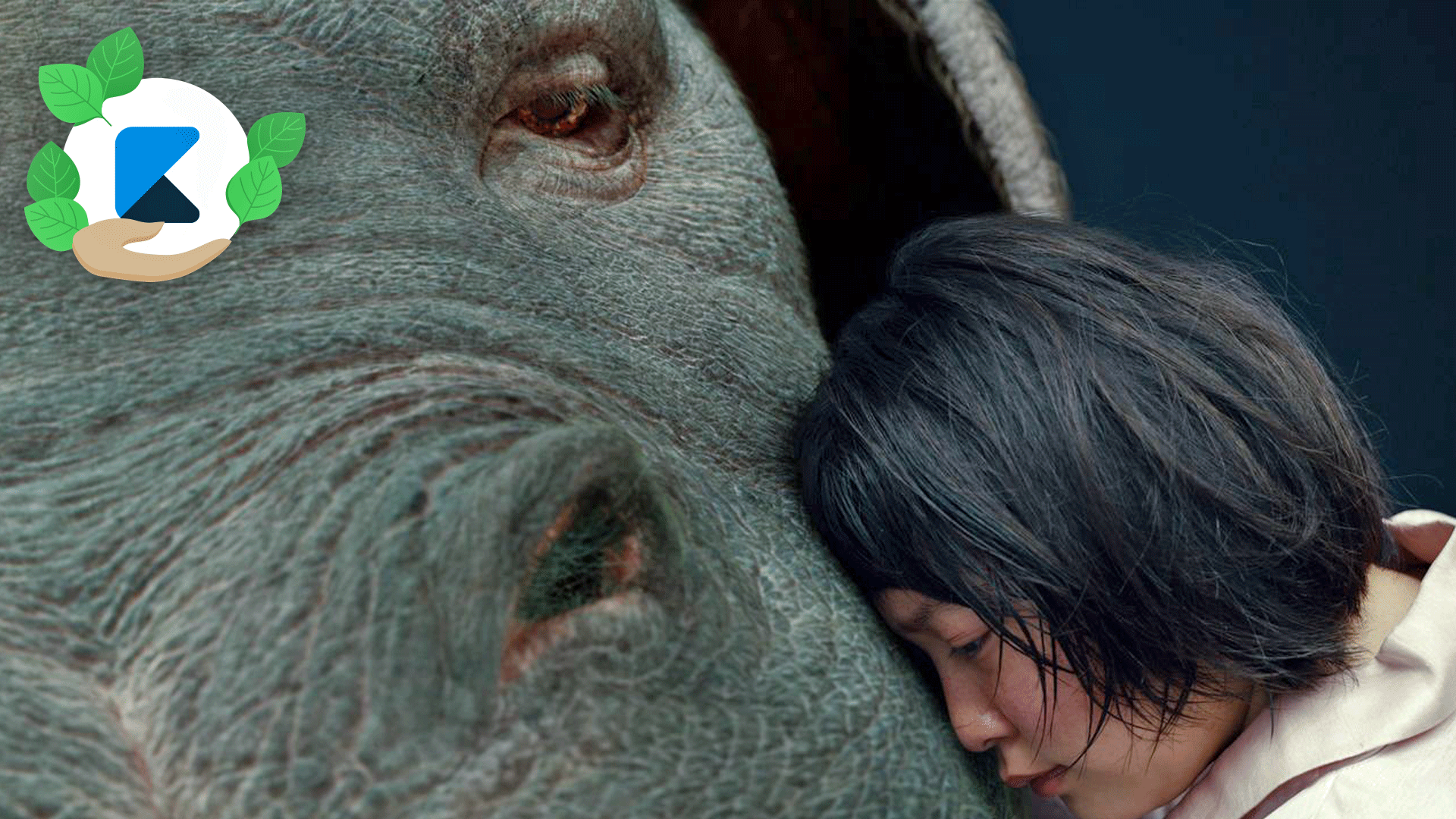 „Okja“ auf Netflix im Stream: Ein nachhaltiger Filmtipp