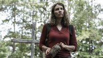„The Walking Dead“-Star verrät: Neue Serie wird einiges anders machen