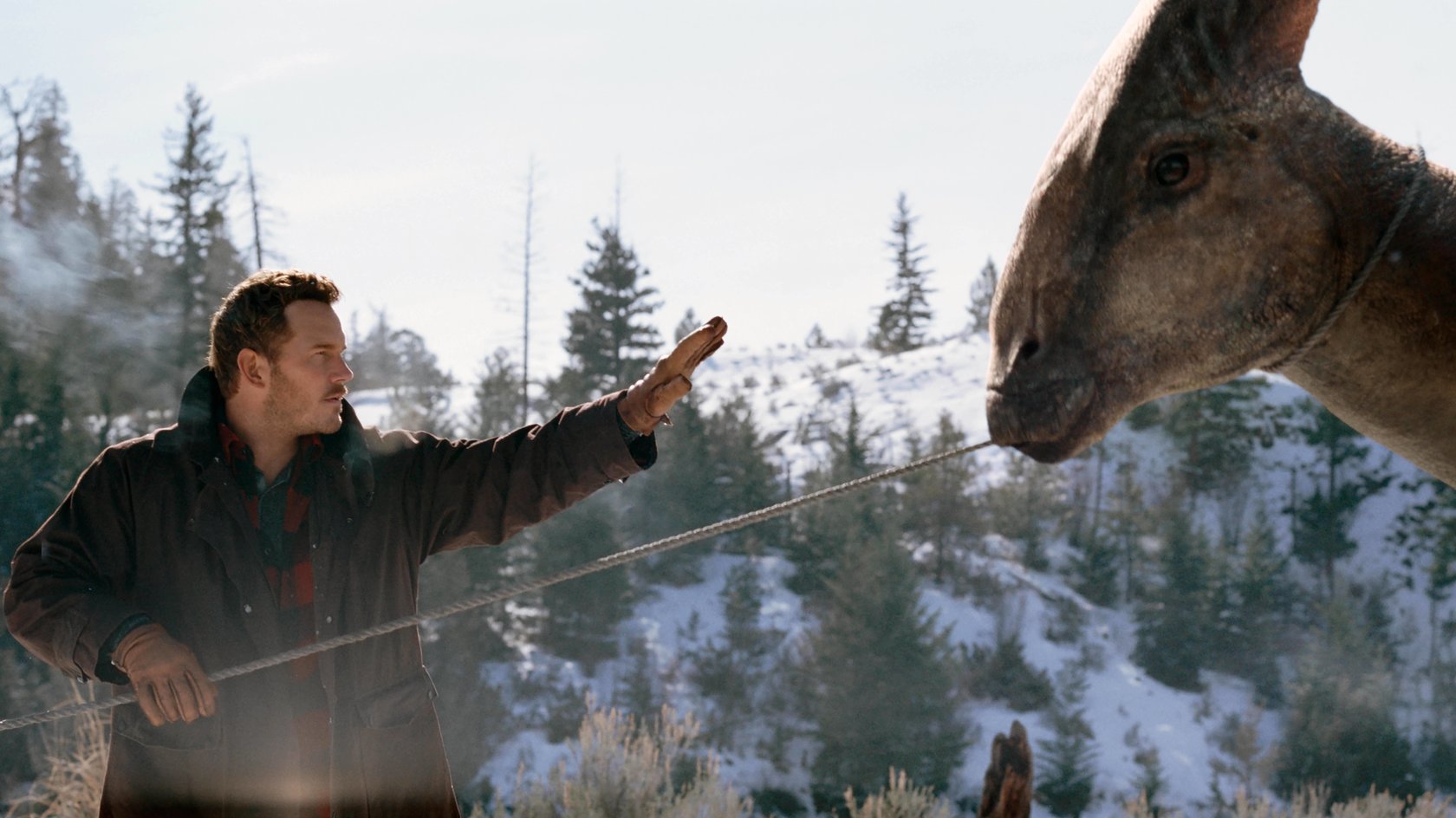 „Ein solides Finale“: Erste Reaktionen zu „Jurassic World 3“ zeigen sich gemischt