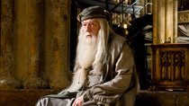 „Harry Potter“-Star möchte in Fantasy-Serie zurückkehren – diesmal als Dumbledore